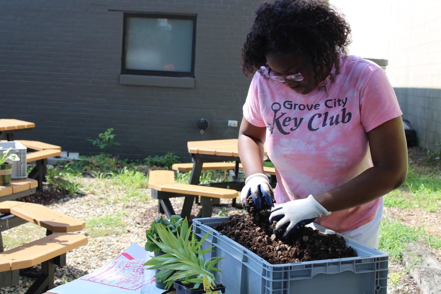 Urban agriculture