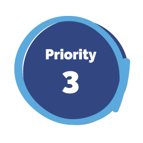 Priority 3 - Strong Learning Communities in Every Region