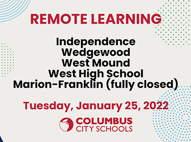 Remote learning