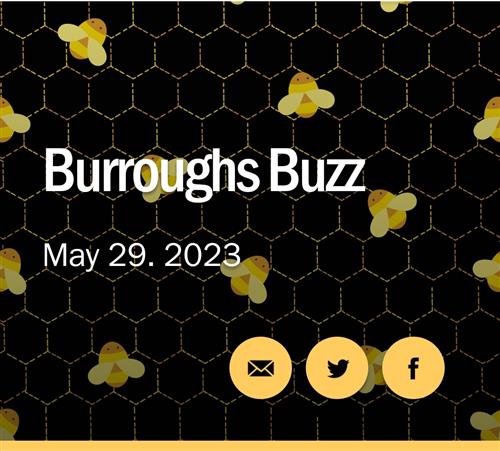 Buzz