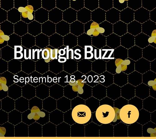 Buzz