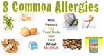 8 Common Food Allergies 