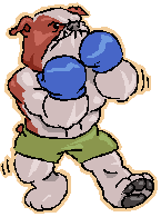 fight fight