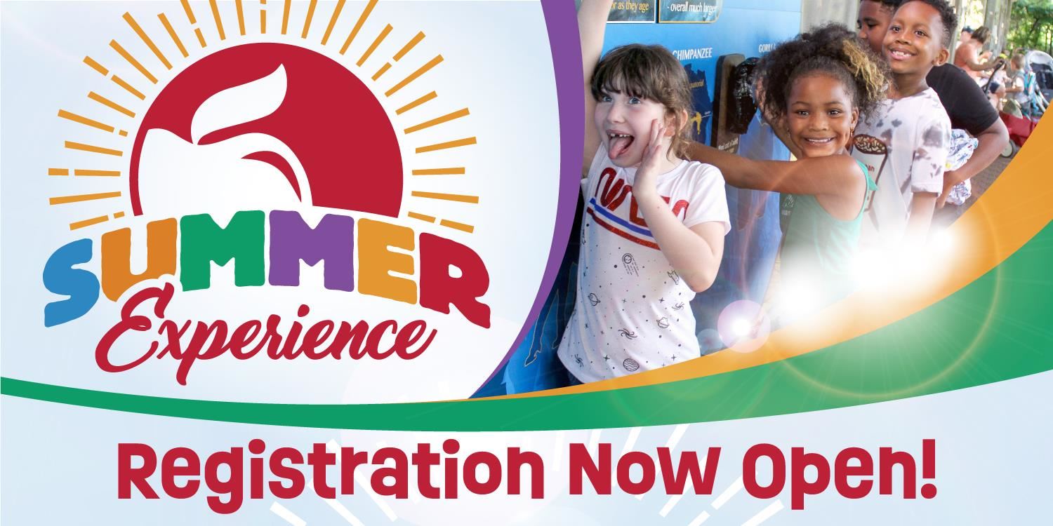 Summer Experience Registration Now Open