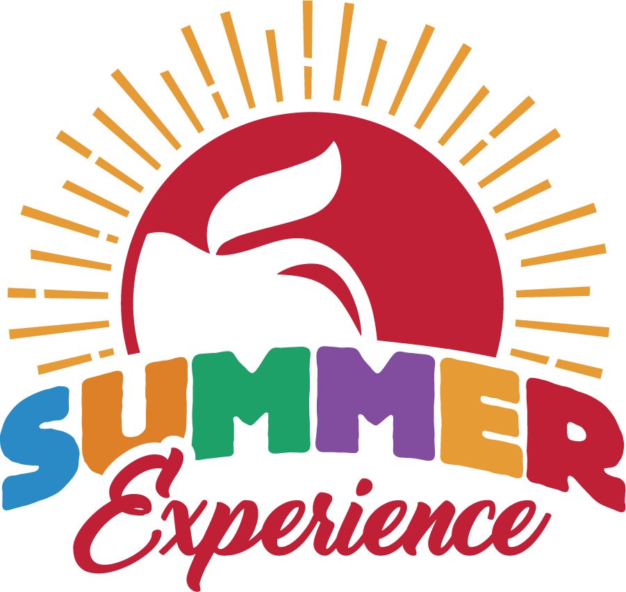 Summer Experience / Overview