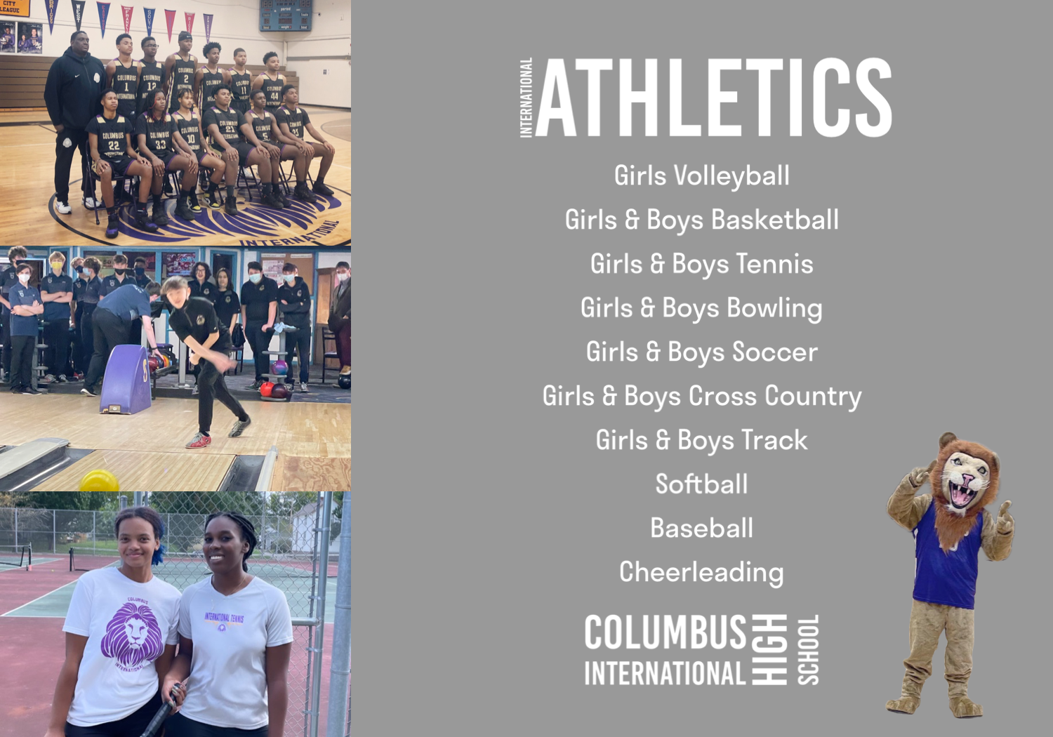 Athletic Opportunities